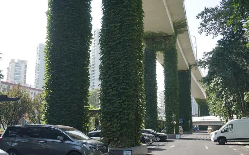 南通城市道路两边的绿化归谁管