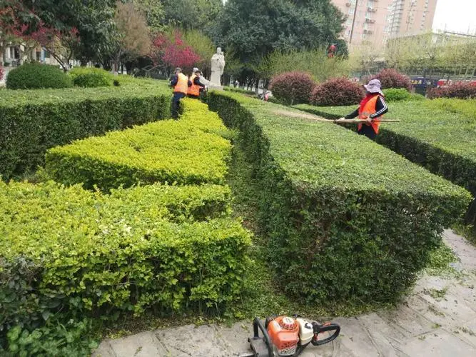 别墅园林景观设计水系现代