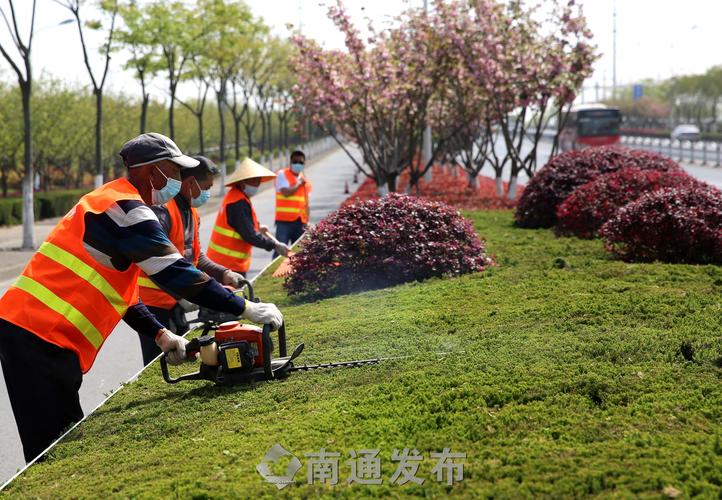 拉萨南北山绿化工程项目点